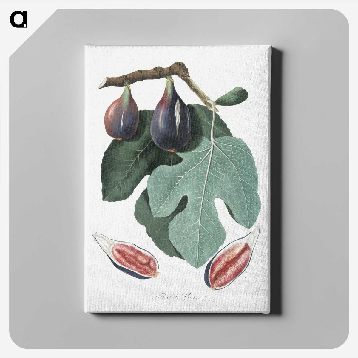 1-3_Pomona-Italiana_canvas