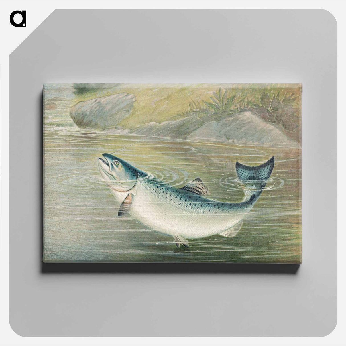アートパネル-California Salmon
- サミュエル キルボーン Canvas.