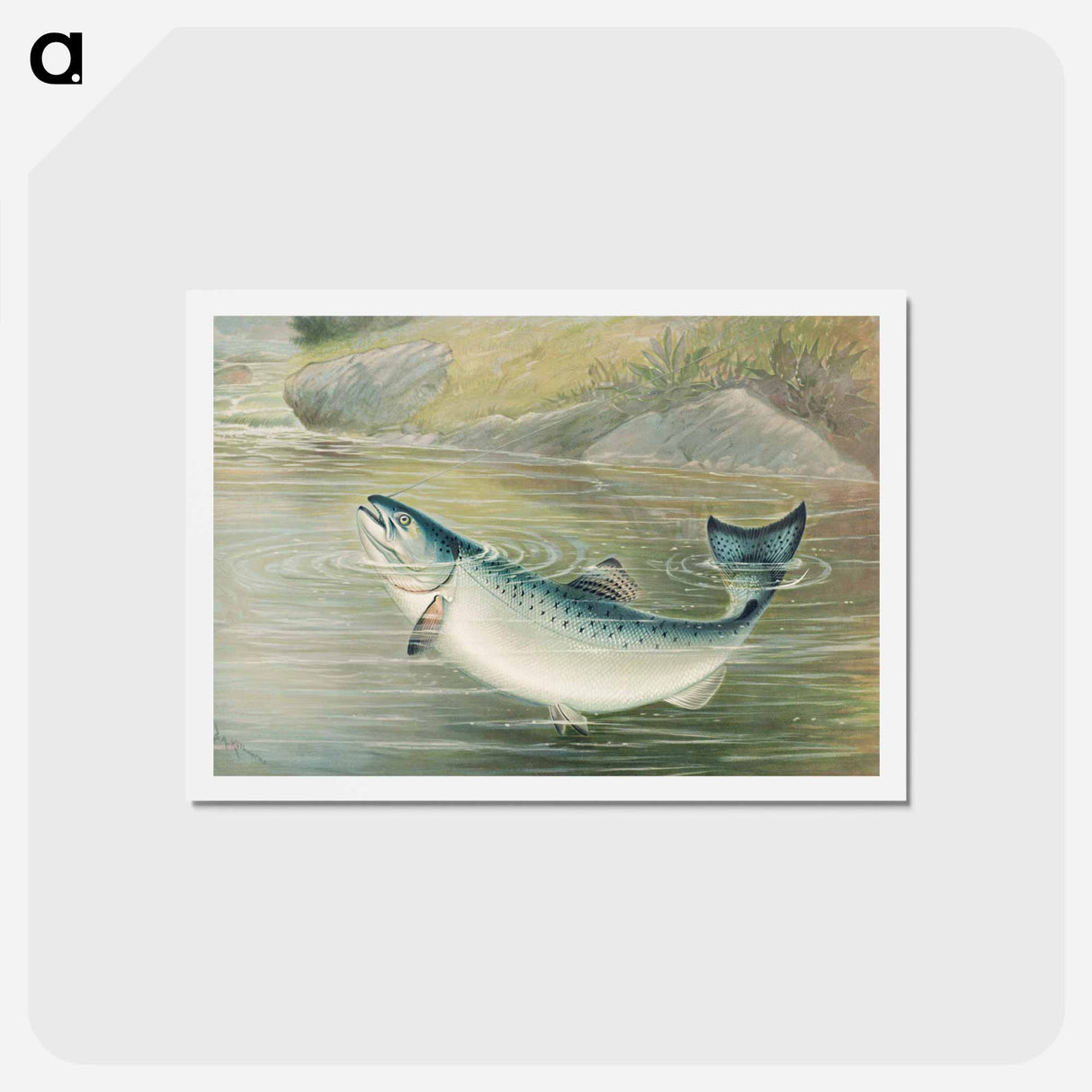 アートポストカード-California Salmon
- サミュエル キルボーン Postcard.