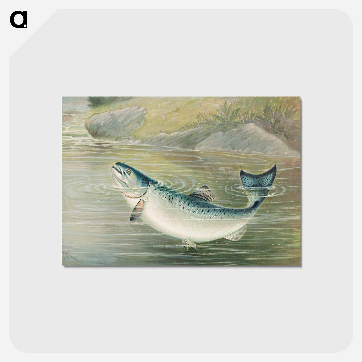 アートポストカード-California Salmon
- サミュエル キルボーン Postcard.