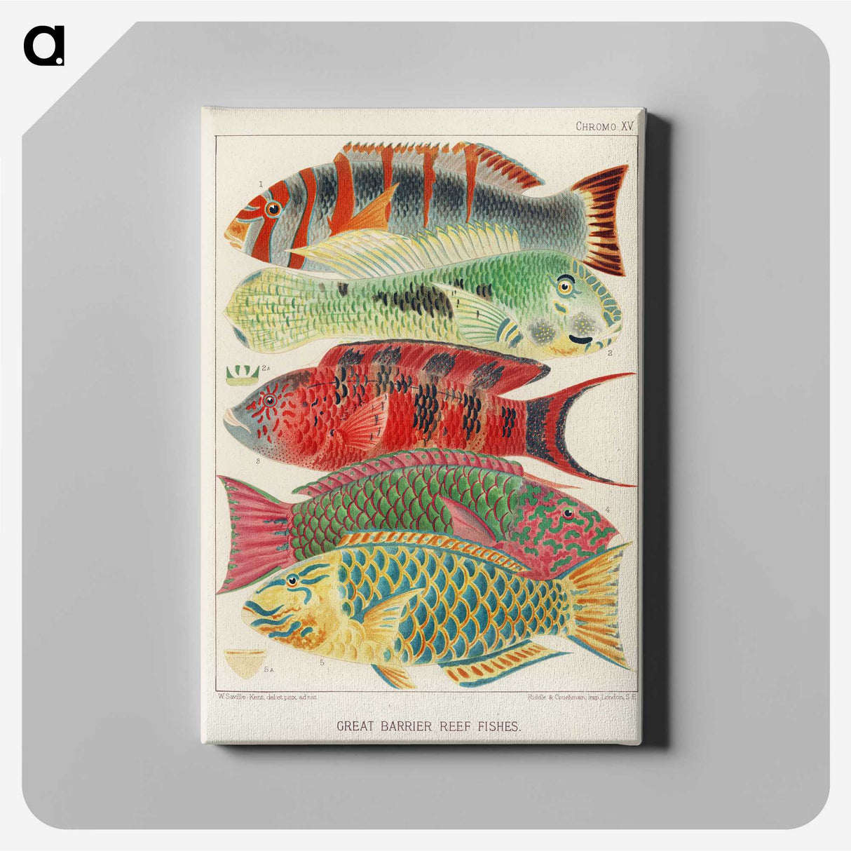 1-3_The-Great-Barrier-Reef-of-Australia_canvas