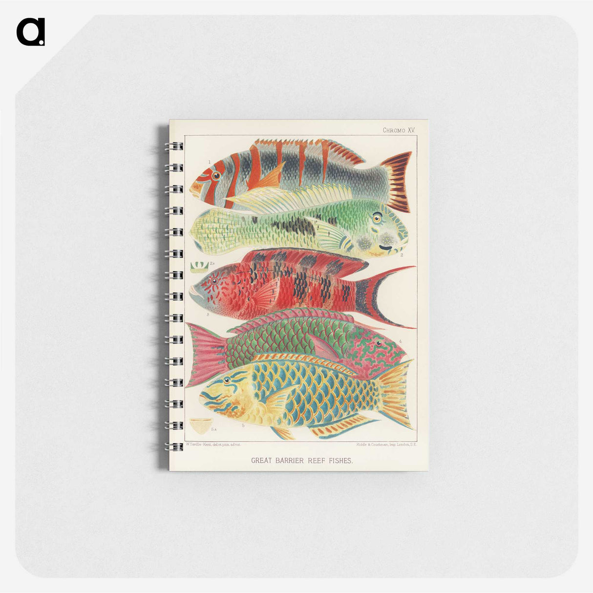 1-3_The-Great-Barrier-Reef-of-Australia_memo
