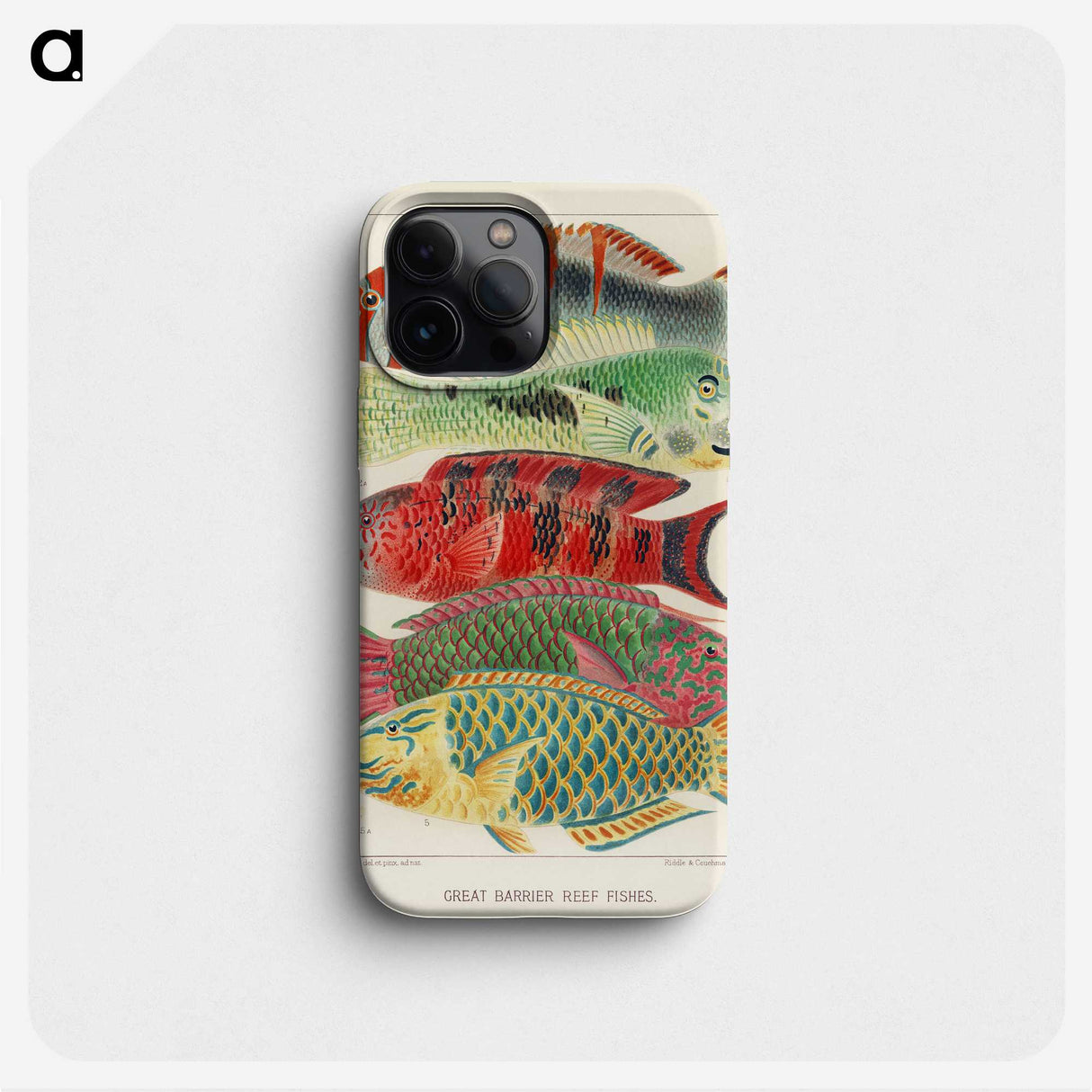 1-3_The-Great-Barrier-Reef-of-Australia_phone