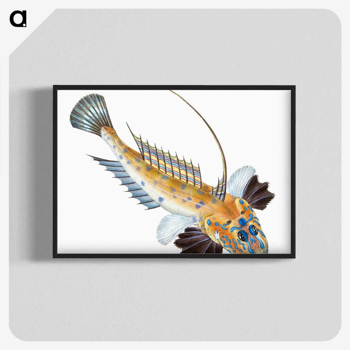 1-3_The-Natural-History-of-British-Fishes_blk-crop