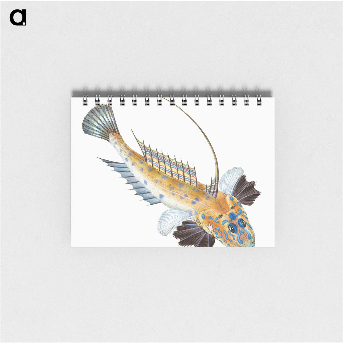 1-3_The-Natural-History-of-British-Fishes_memo