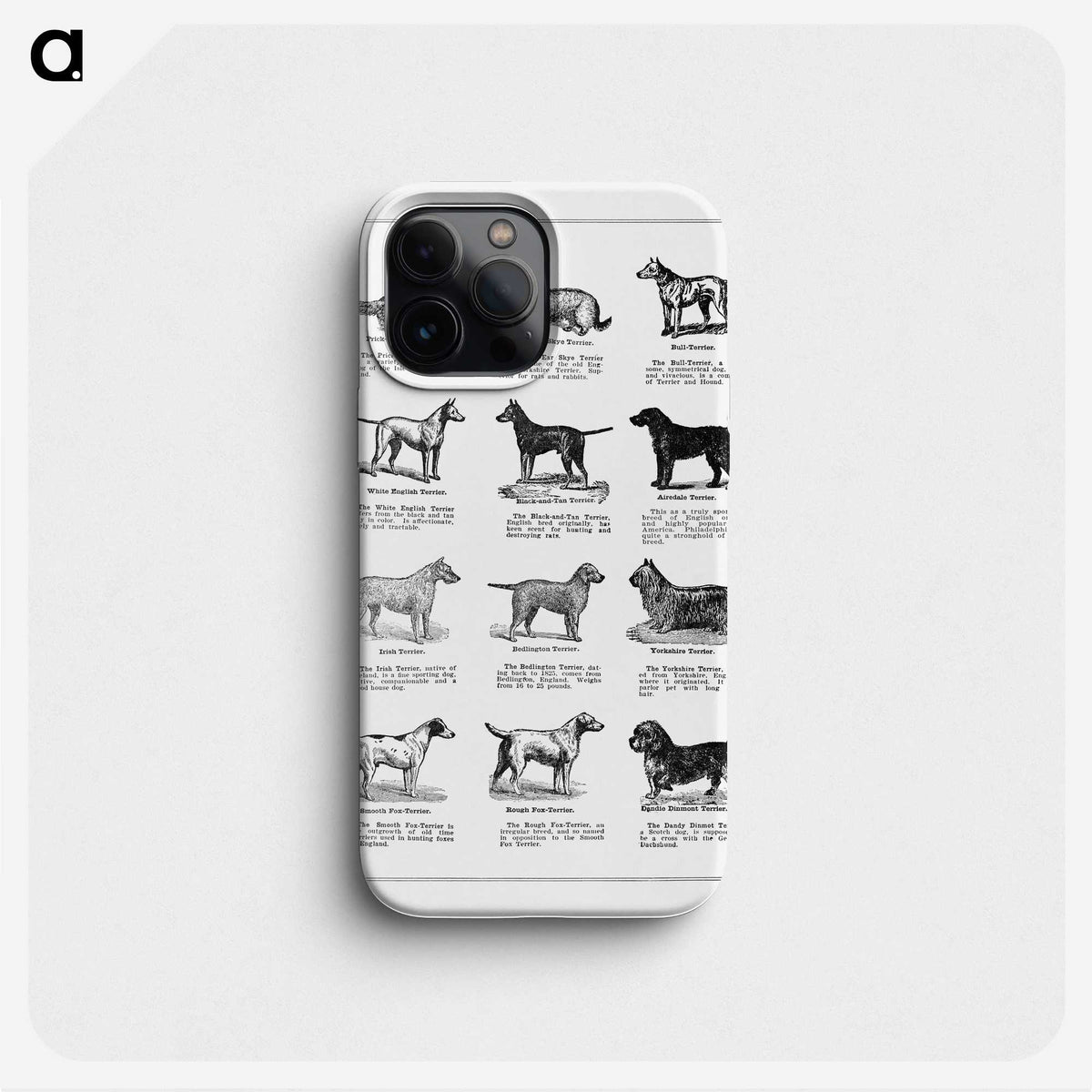 1-3_The-Open-Door-to-Independence_phone