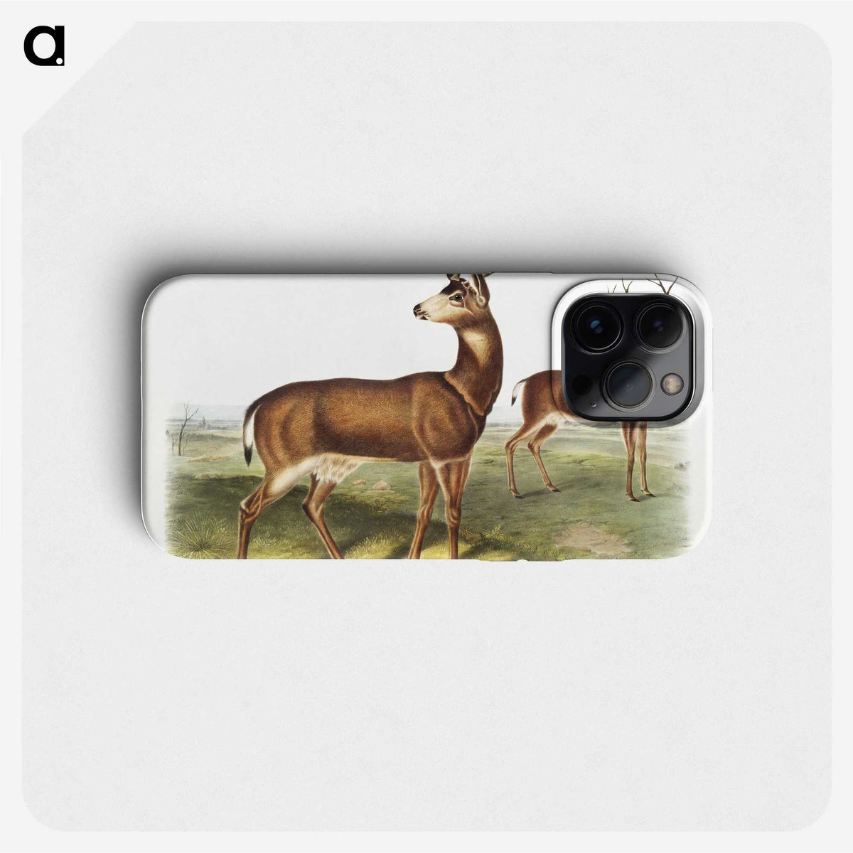 1-3_The-Viviparous-Quadrupeds_phone