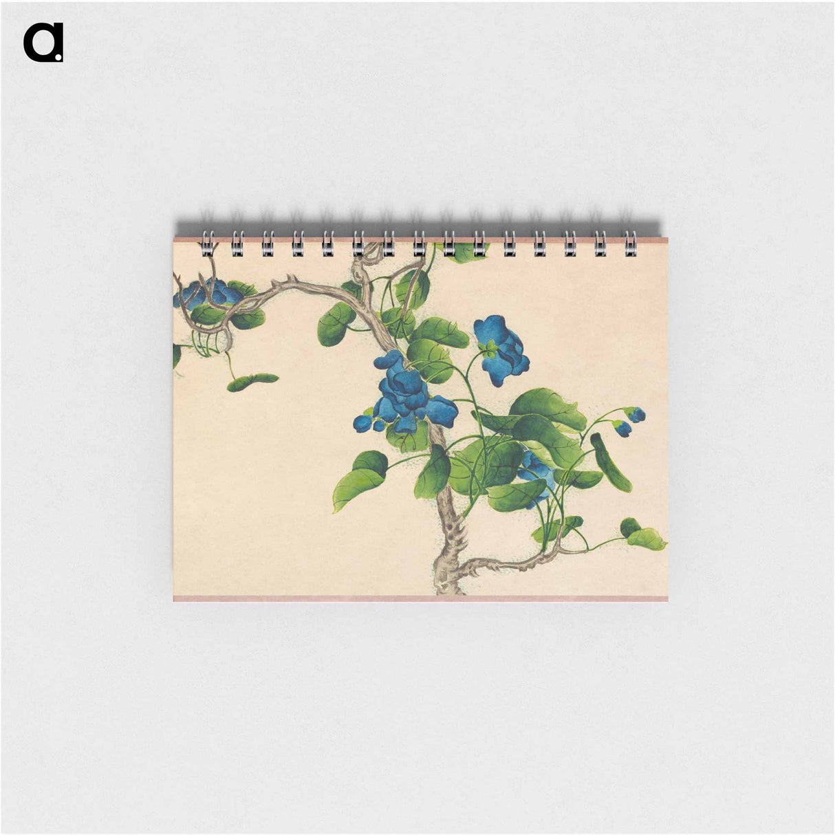 Climbing Blue Flowers - 張若愛 Memo.