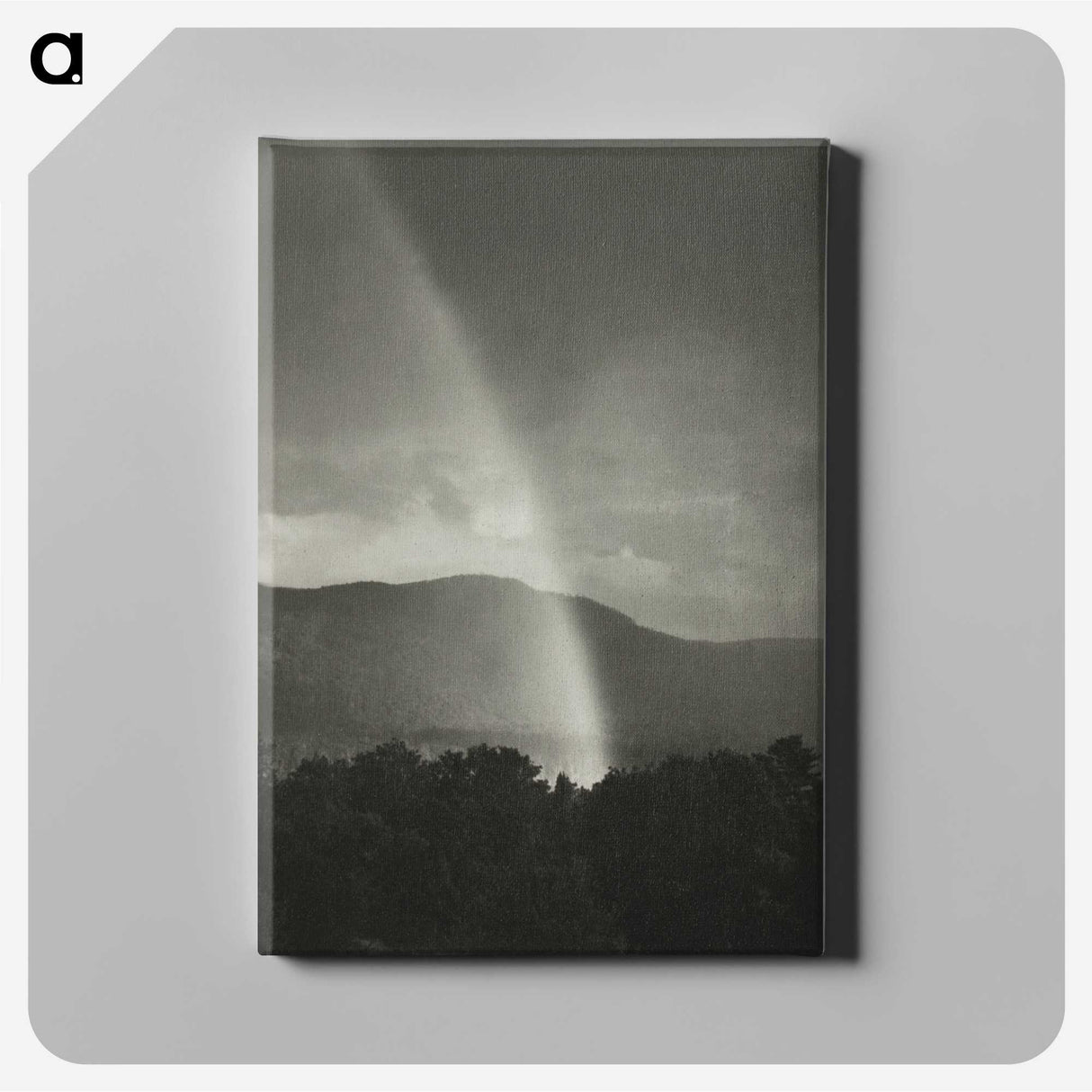 1-40_Alfred-Stieglitz_canvas