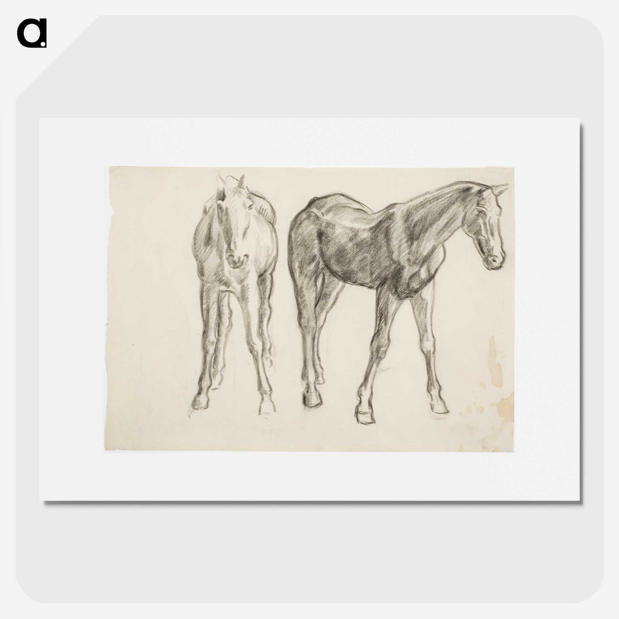 1-40_Alfred-William-Finch_picture