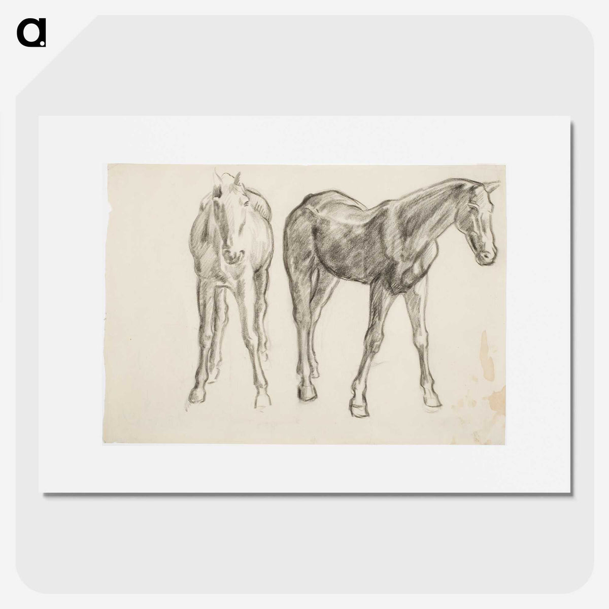 1-40_Alfred-William-Finch_picture