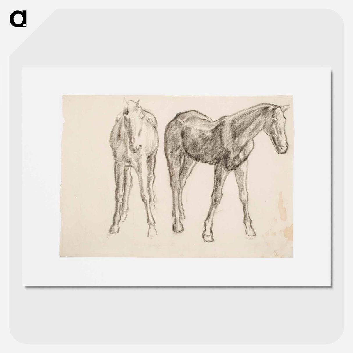 Horse, Hevosia - アルフレッド ウィリアム フィンチ Poster.