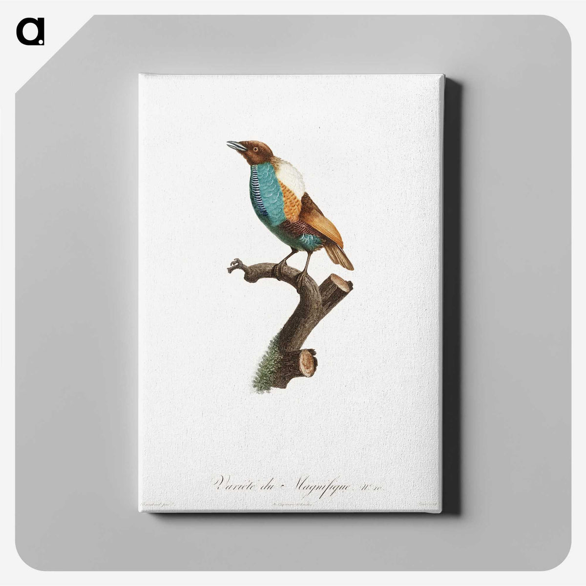 1-40_Des-Oiseaux-de-Paradis_canvas
