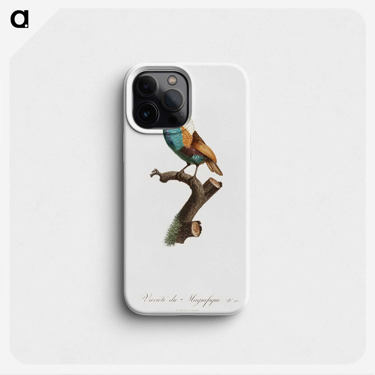 1-40_Des-Oiseaux-de-Paradis_phone