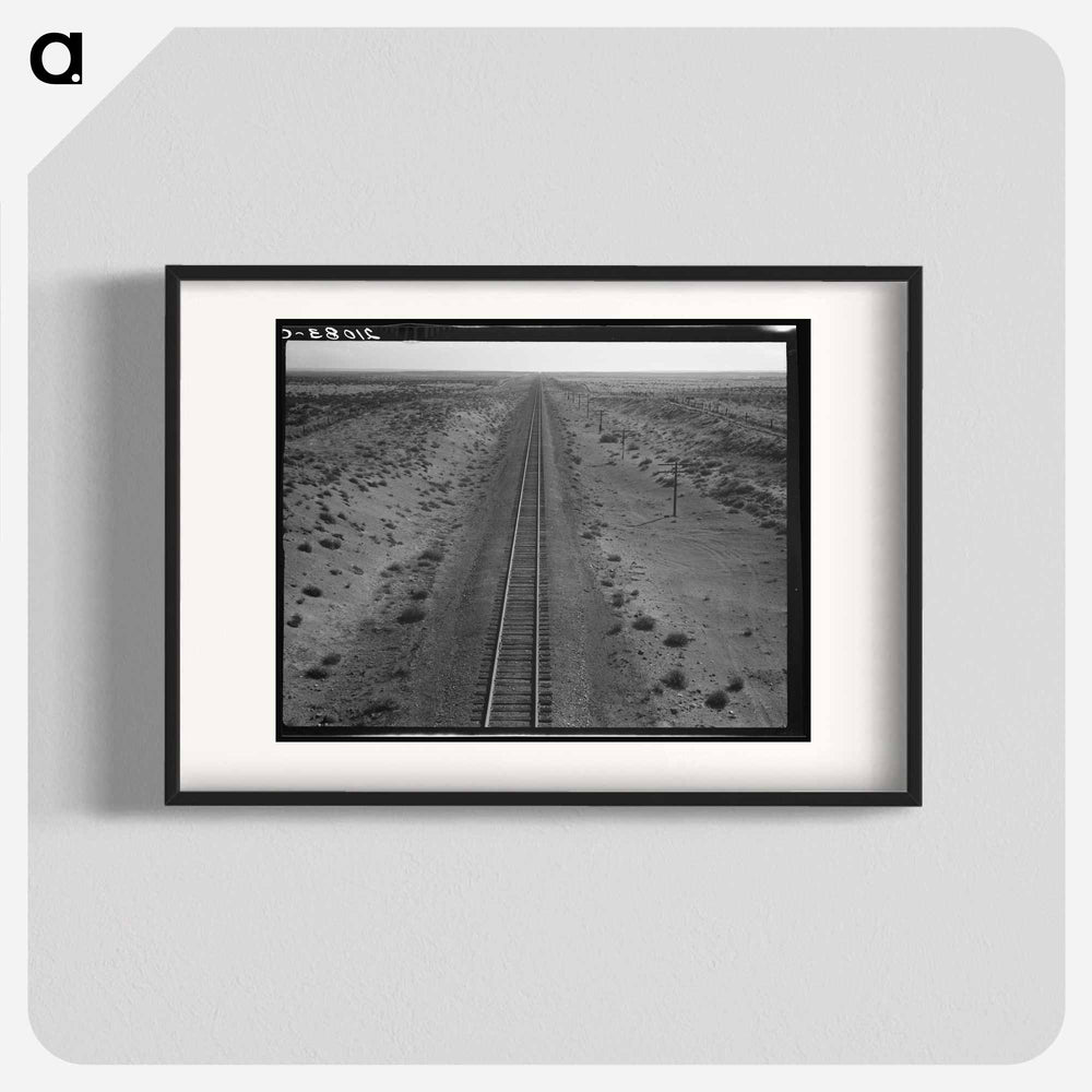 Untitled photo - Dorothea Lange Poster.