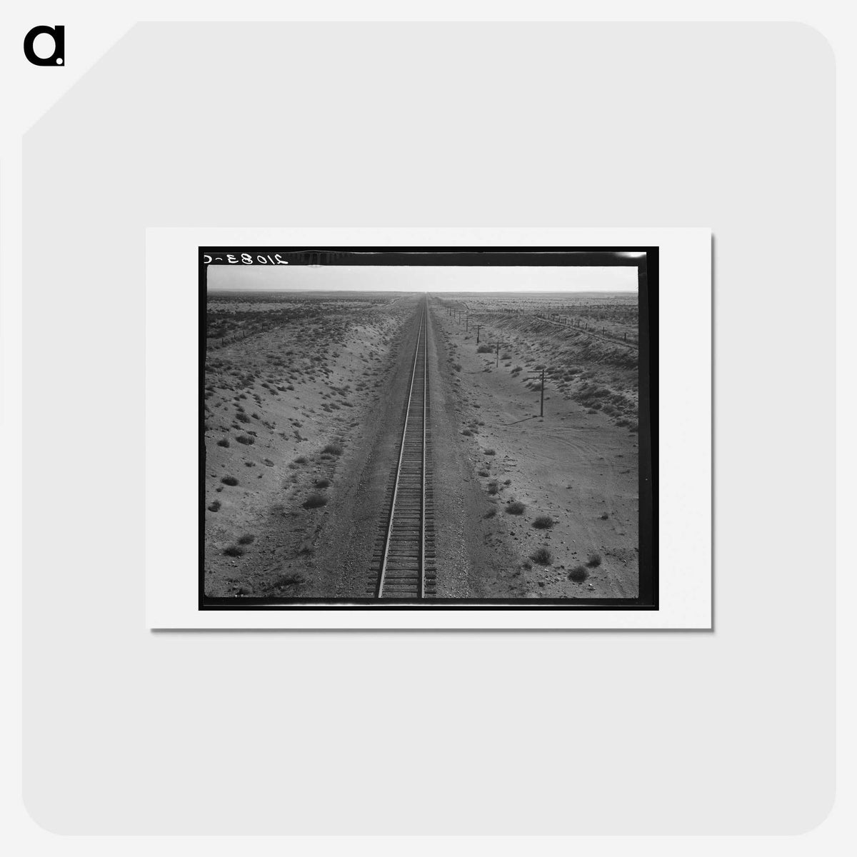 1-40_Dorothea-Lange_hagaki