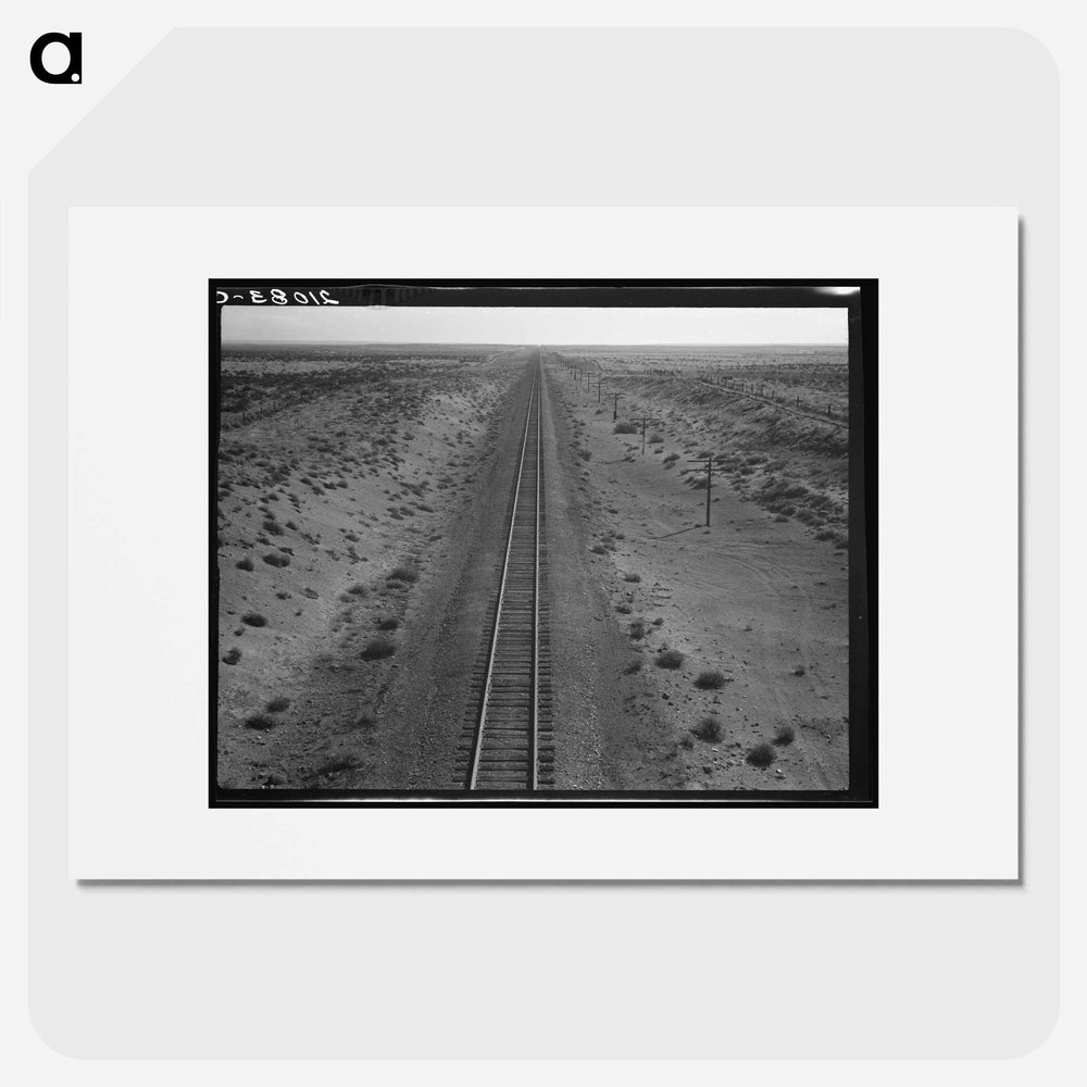 Untitled photo - Dorothea Lange Poster.