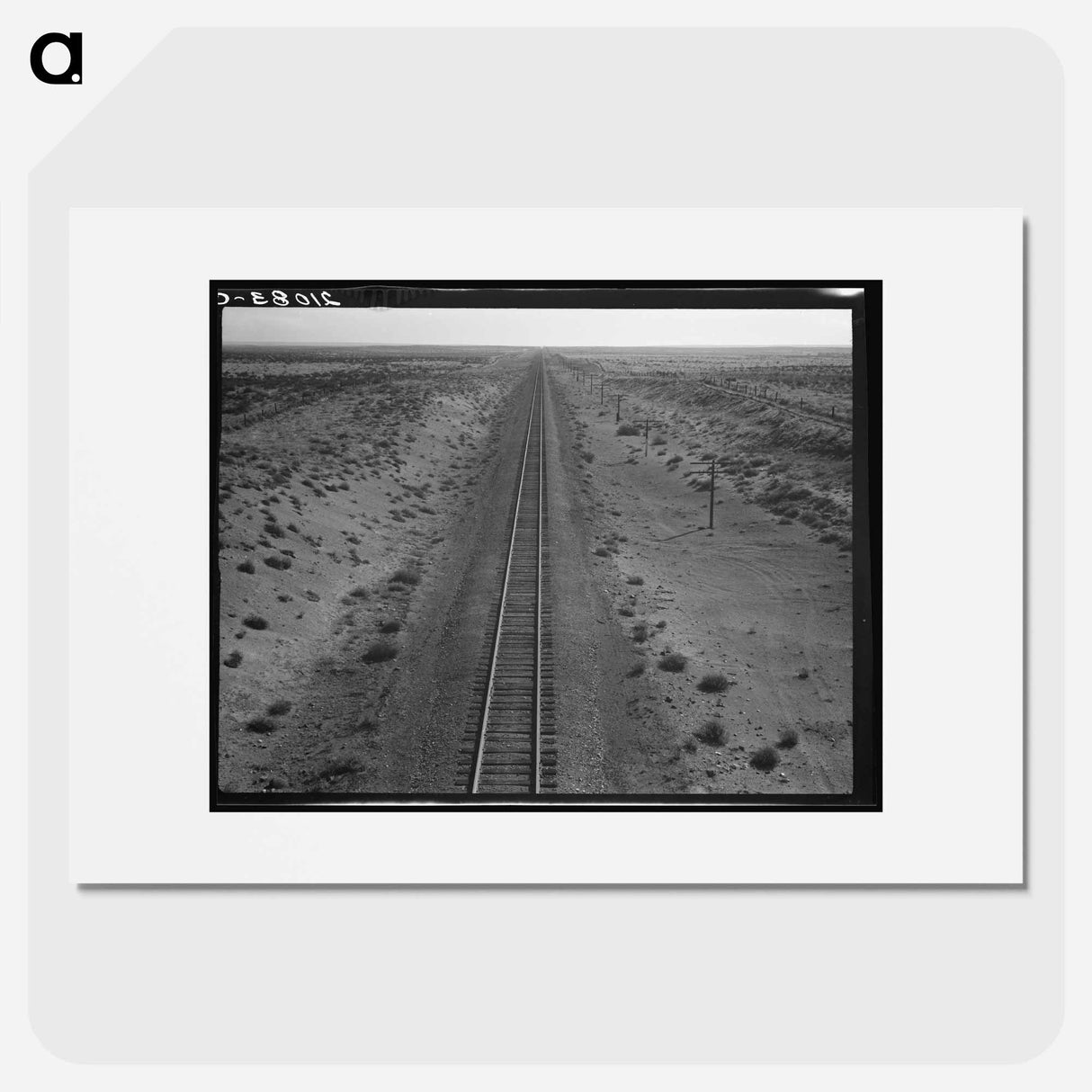 Untitled photo - Dorothea Lange Poster.