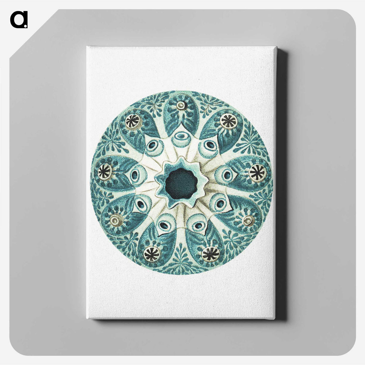 1-40_Ernst-Haeckel_canvas