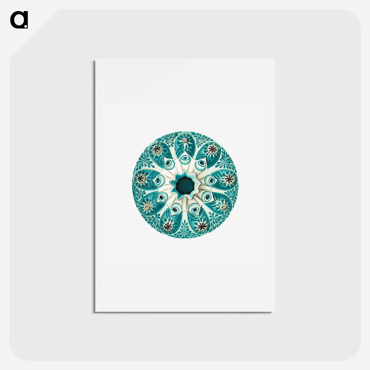 アートポストカード-Colorful vintage tunicate illustration - エルンスト ヘッケル Postcard.