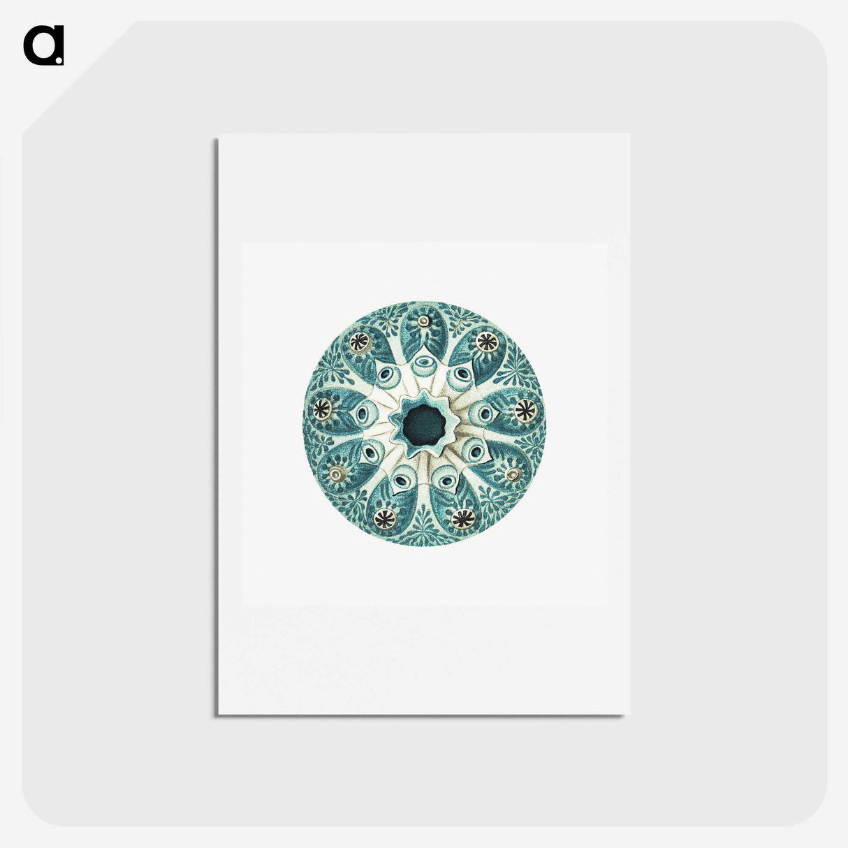 1-40_Ernst-Haeckel_hagaki
