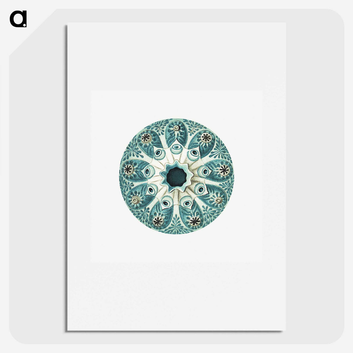 1-40_Ernst-Haeckel_picture