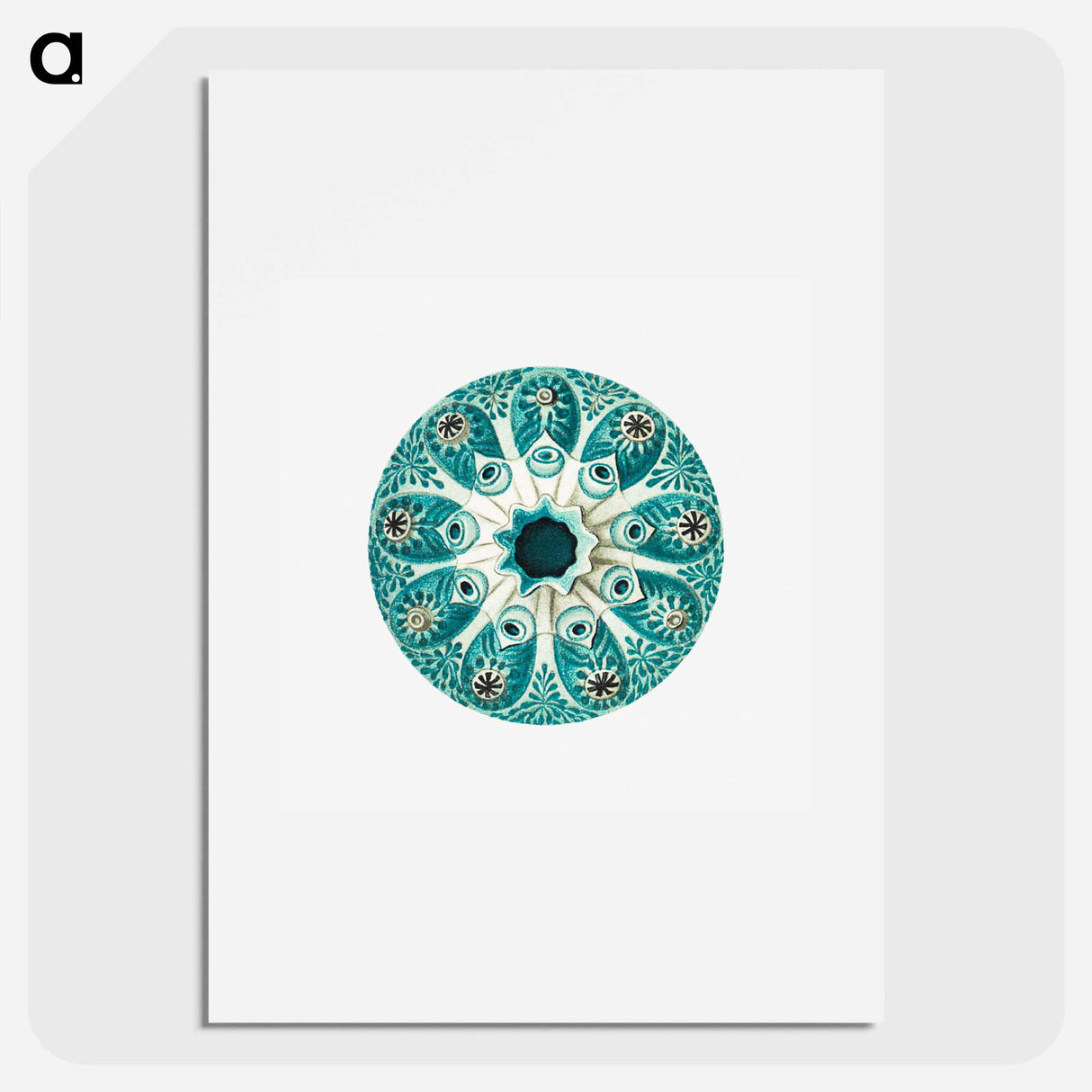 Colorful vintage tunicate illustration - エルンスト ヘッケル Poster.