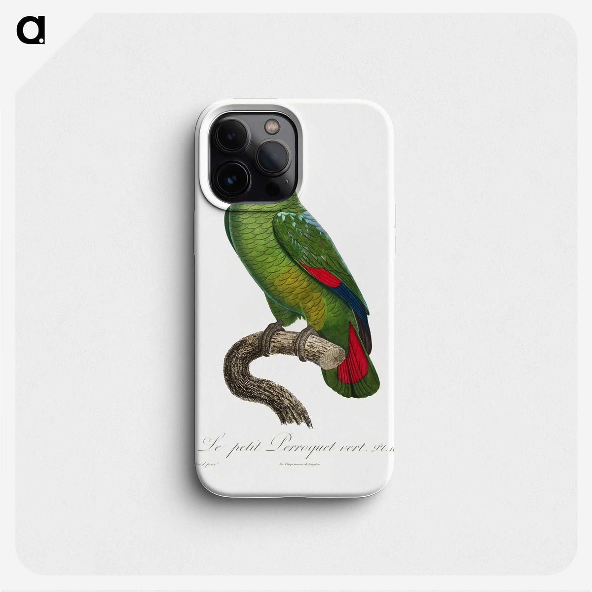 1-40_Francois-Levaillant_phone