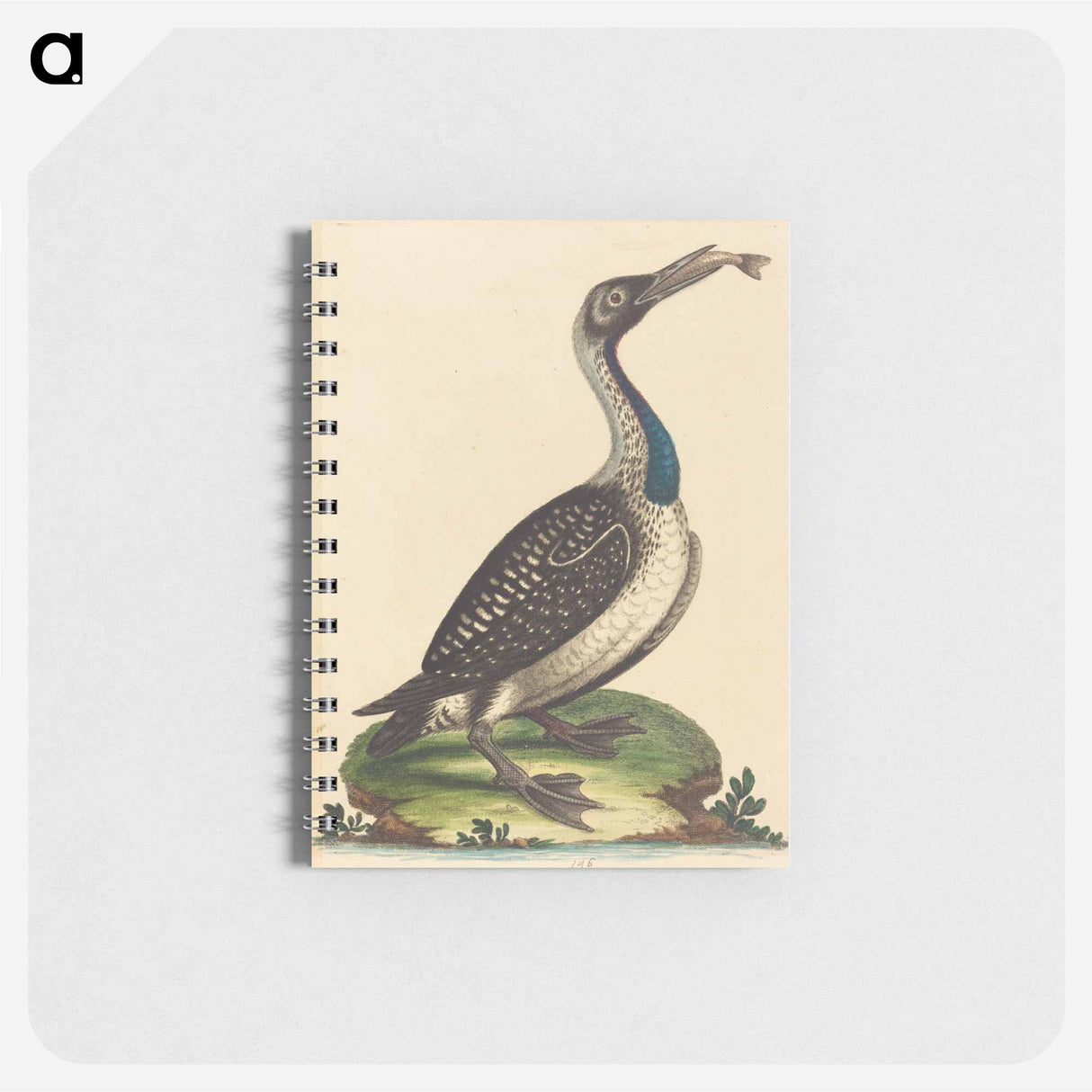 アートメモ帳-Black and White Water-Fowl with Blue Throat
- ジョージ エドワーズ Memo.