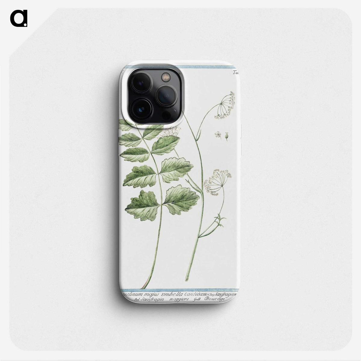 1-40_Hortus-Romanus-Botanical-Plates_phone