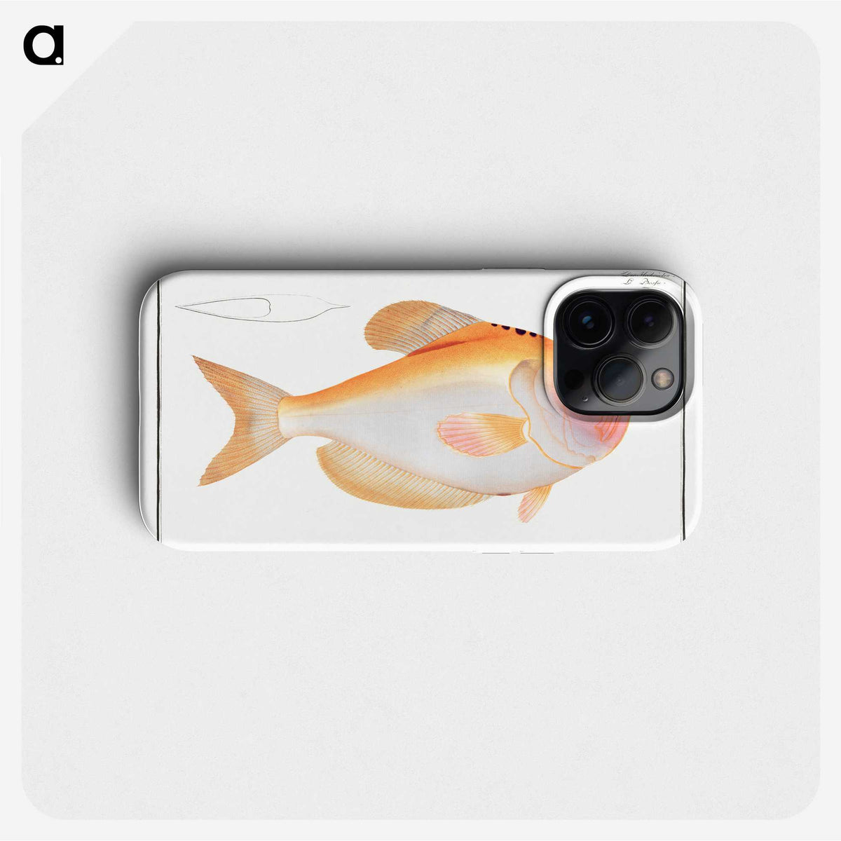 1-40_Ichtyologie-ou-Histoire-naturelle_phone