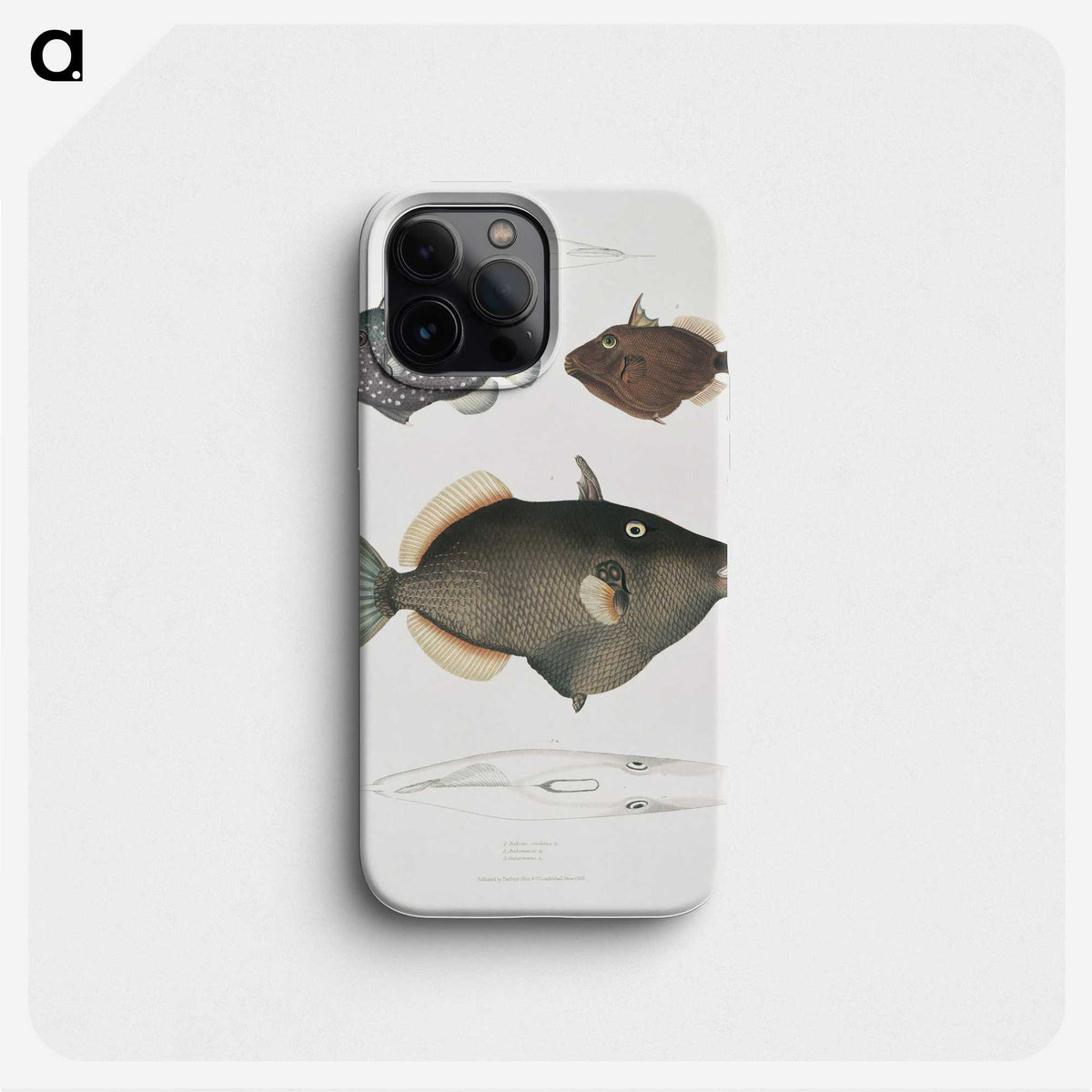 1-40_Indian-Zoology_phone