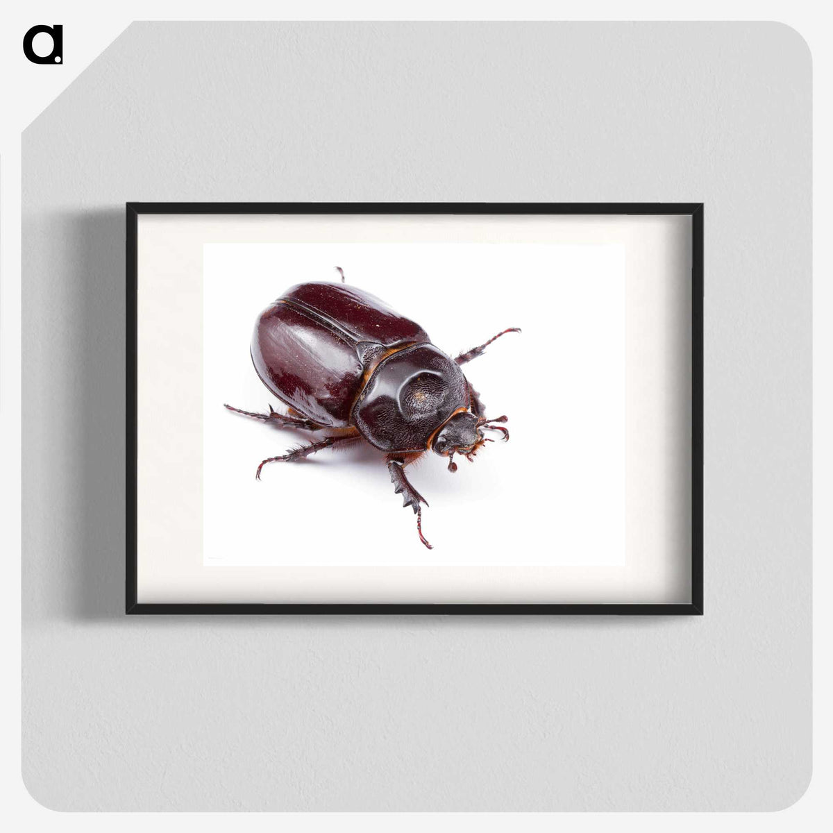 1-40_Insects-Unlocked-Project_blk
