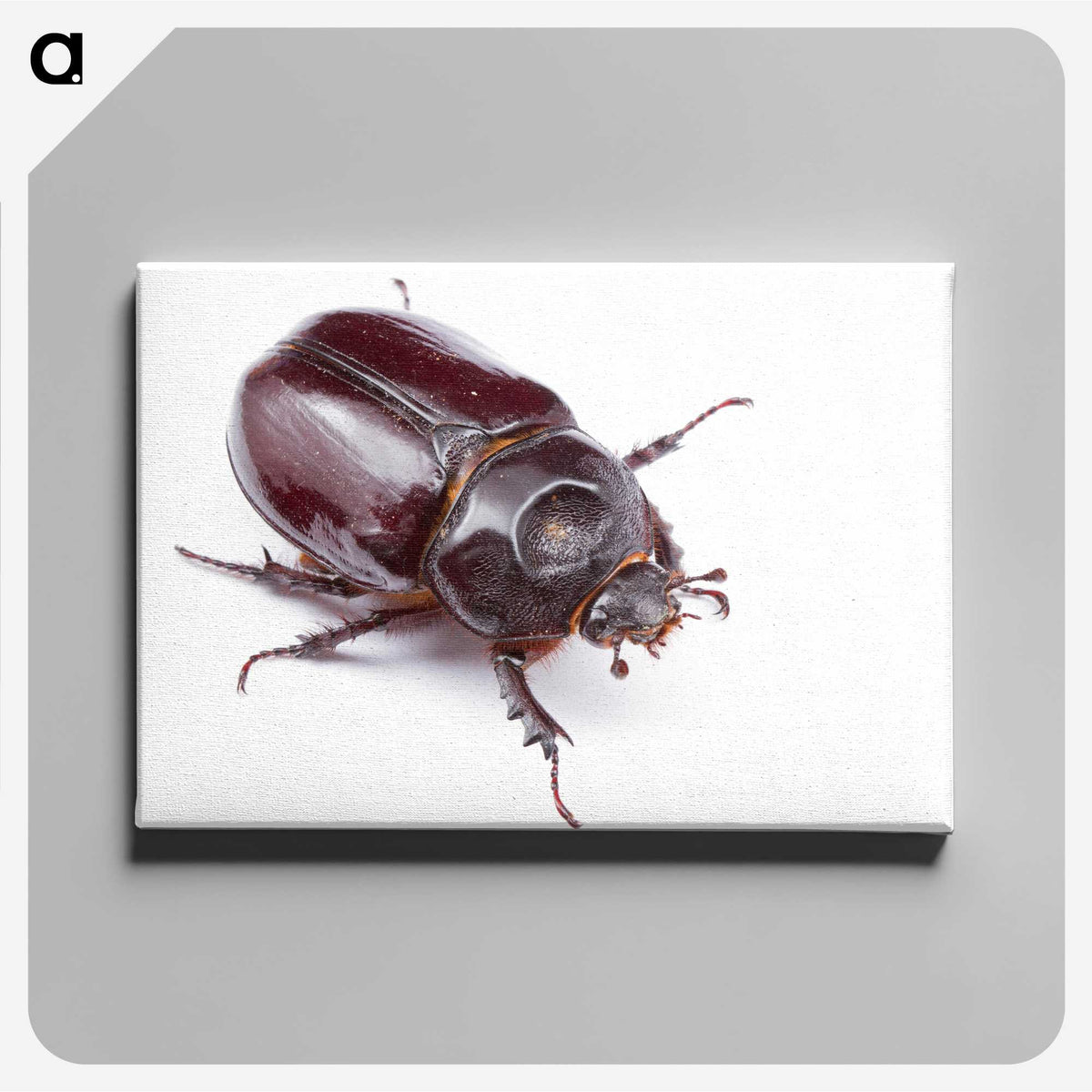 1-40_Insects-Unlocked-Project_canvas