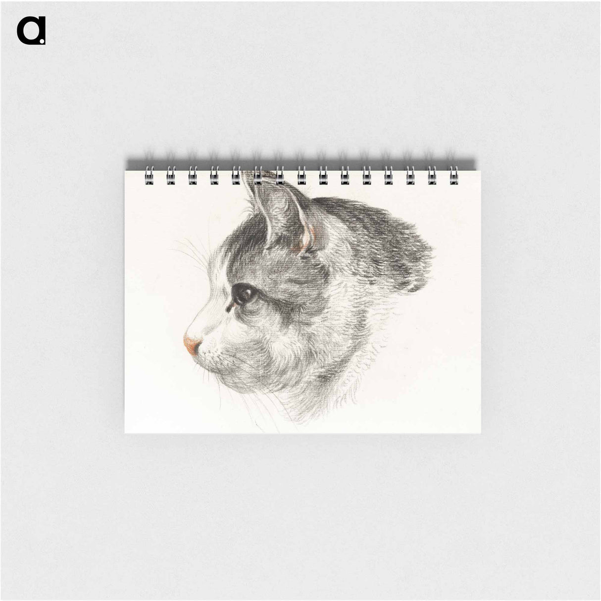 Sketch of a cat - ジャン ベルナール Memo.