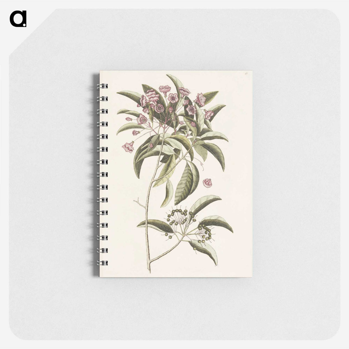 1-40_Mark-Catesby_memo