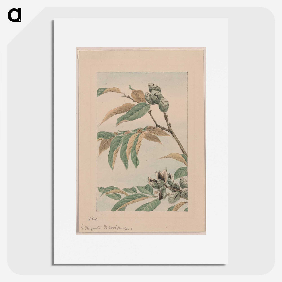 1-40_Megata-Morikaga_picture