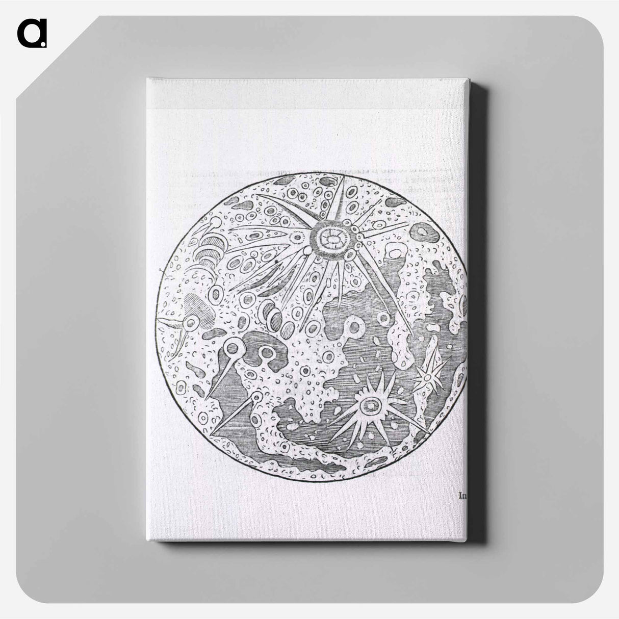 アートパネル-Lunar Surface Phase
- 国立医学図書館 Canvas.