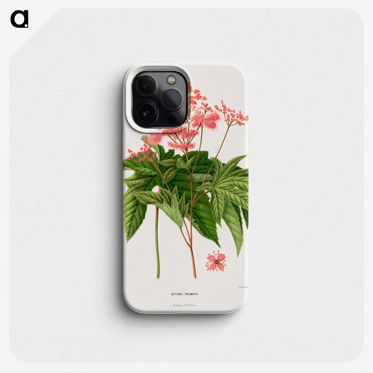 1-40_Nederlandsche-Flora-en-Pomona_phone