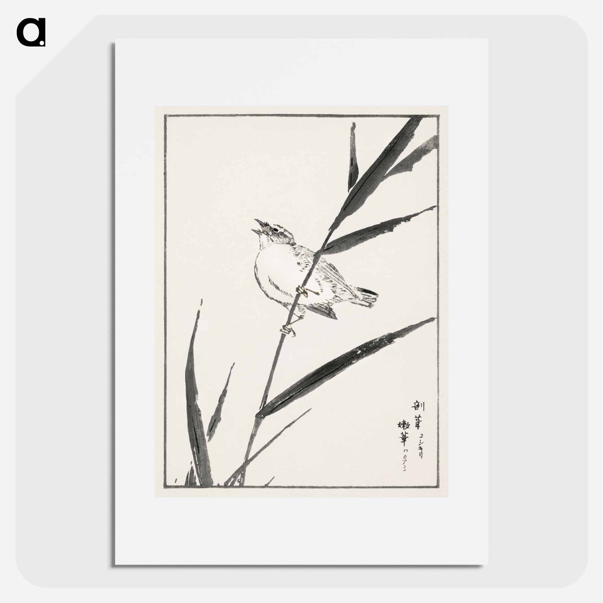 アートポスター-Reed-Bunting and Reed
- 鳥類図鑑 Poster.