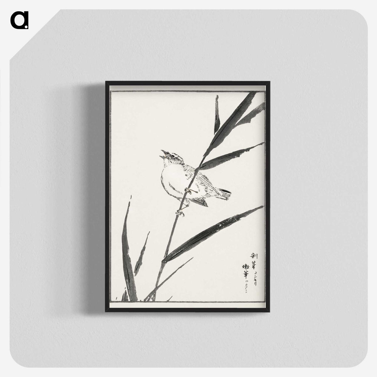 1-40_Pictorial-Monograph-of-Birds_blk-crop