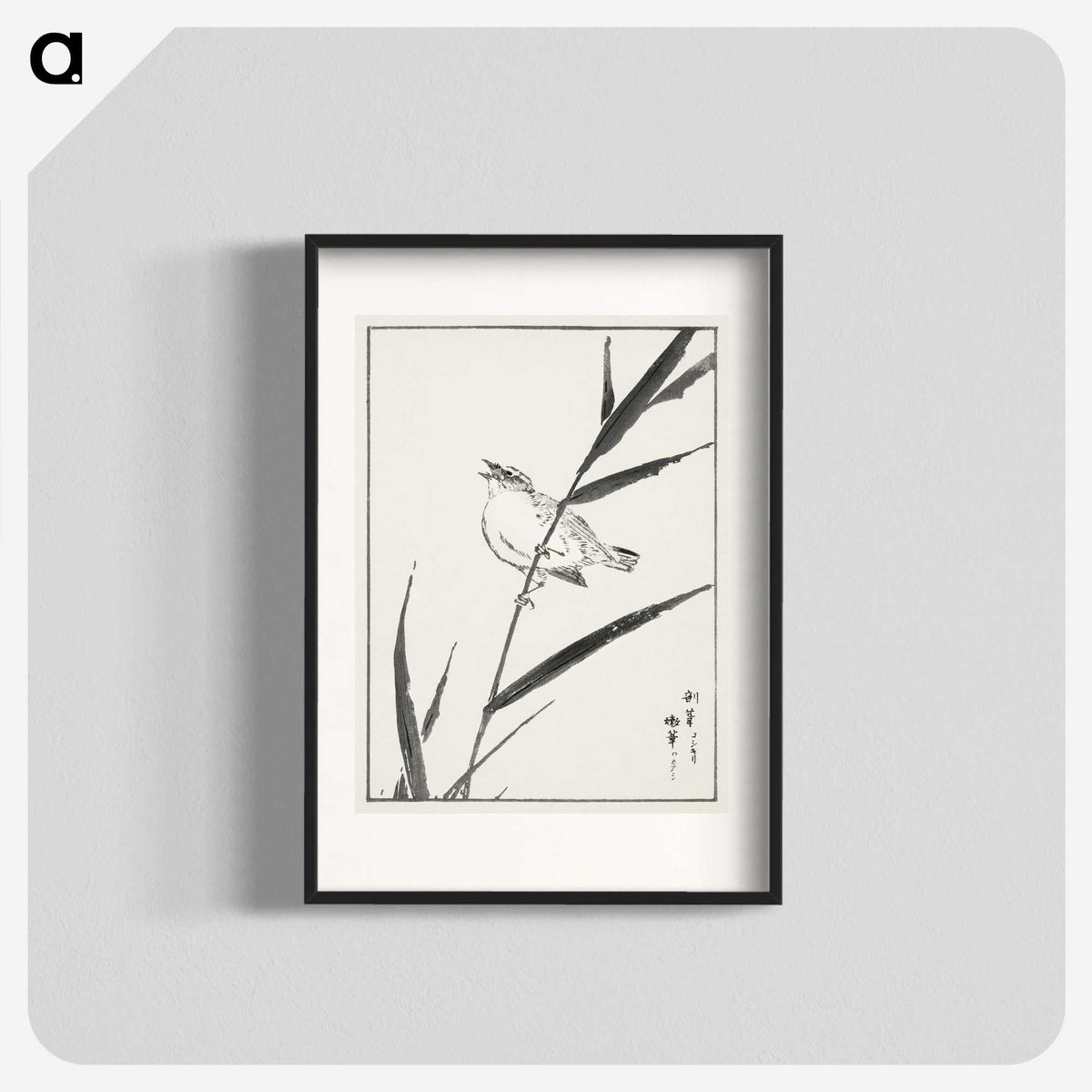 1-40_Pictorial-Monograph-of-Birds_blk