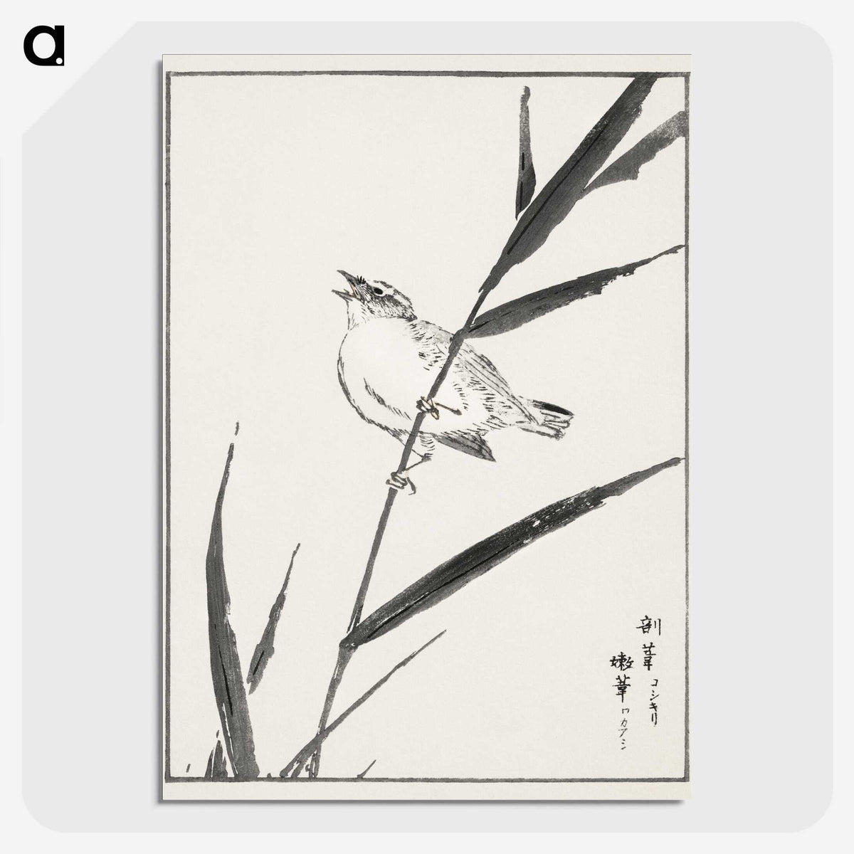 1-40_Pictorial-Monograph-of-Birds_picture-crop