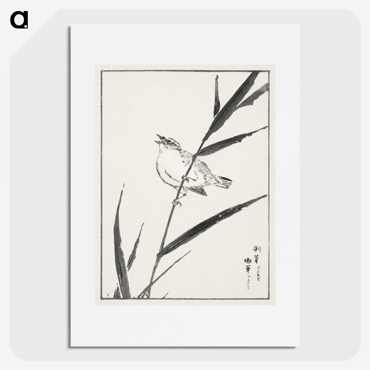 1-40_Pictorial-Monograph-of-Birds_picture