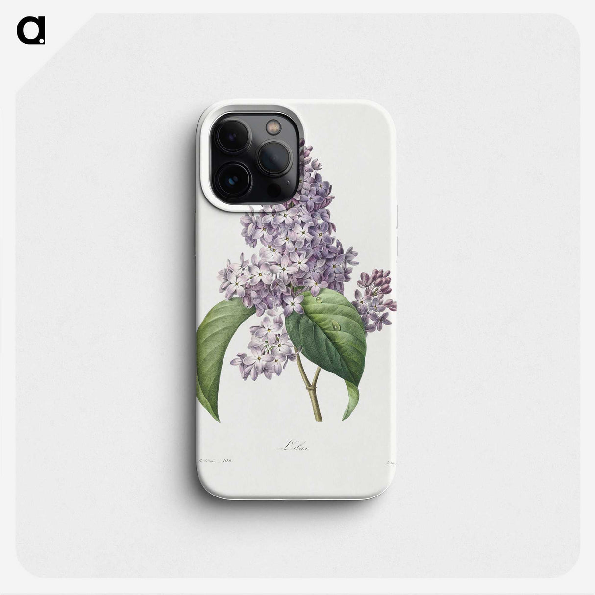 1-40_Pierre-Joseph-Redoute_phone