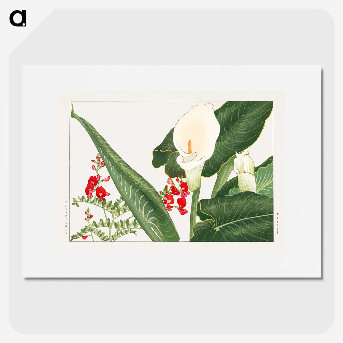 1-40_Seiyo-Soka-Zufu_picture