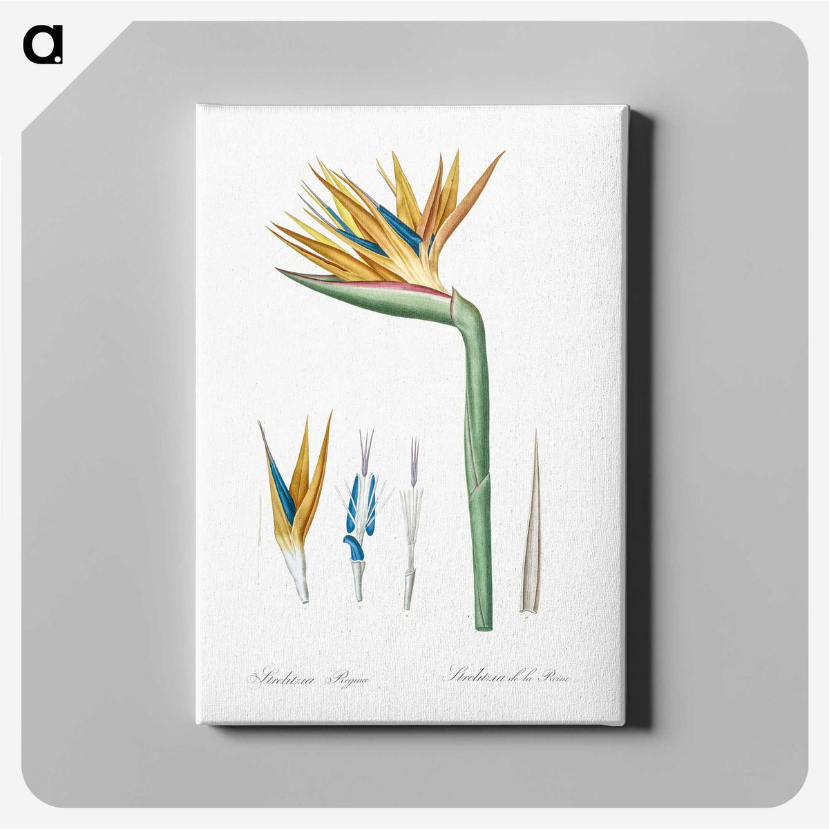 1-40_The-Lilies_canvas