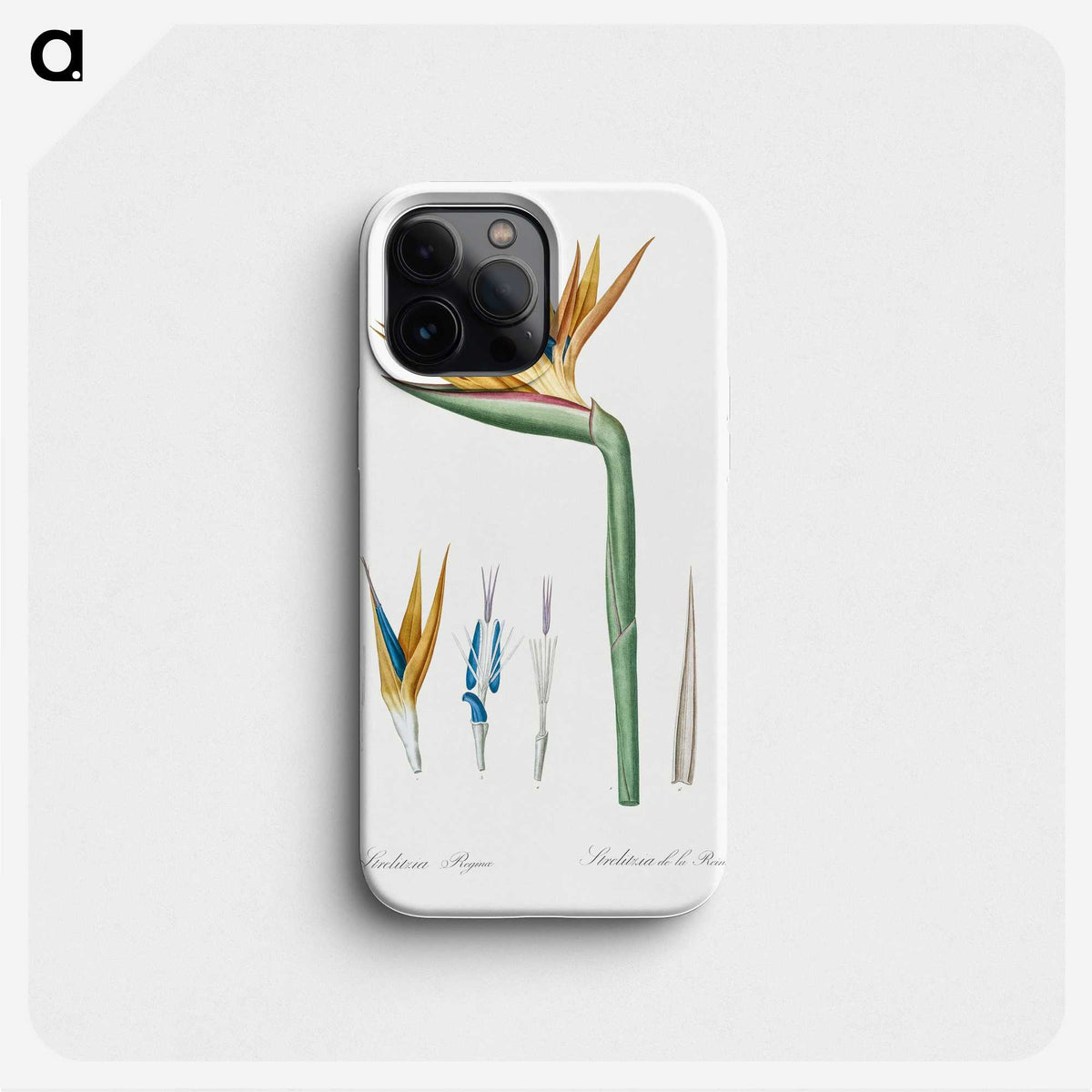 1-40_The-Lilies_phone
