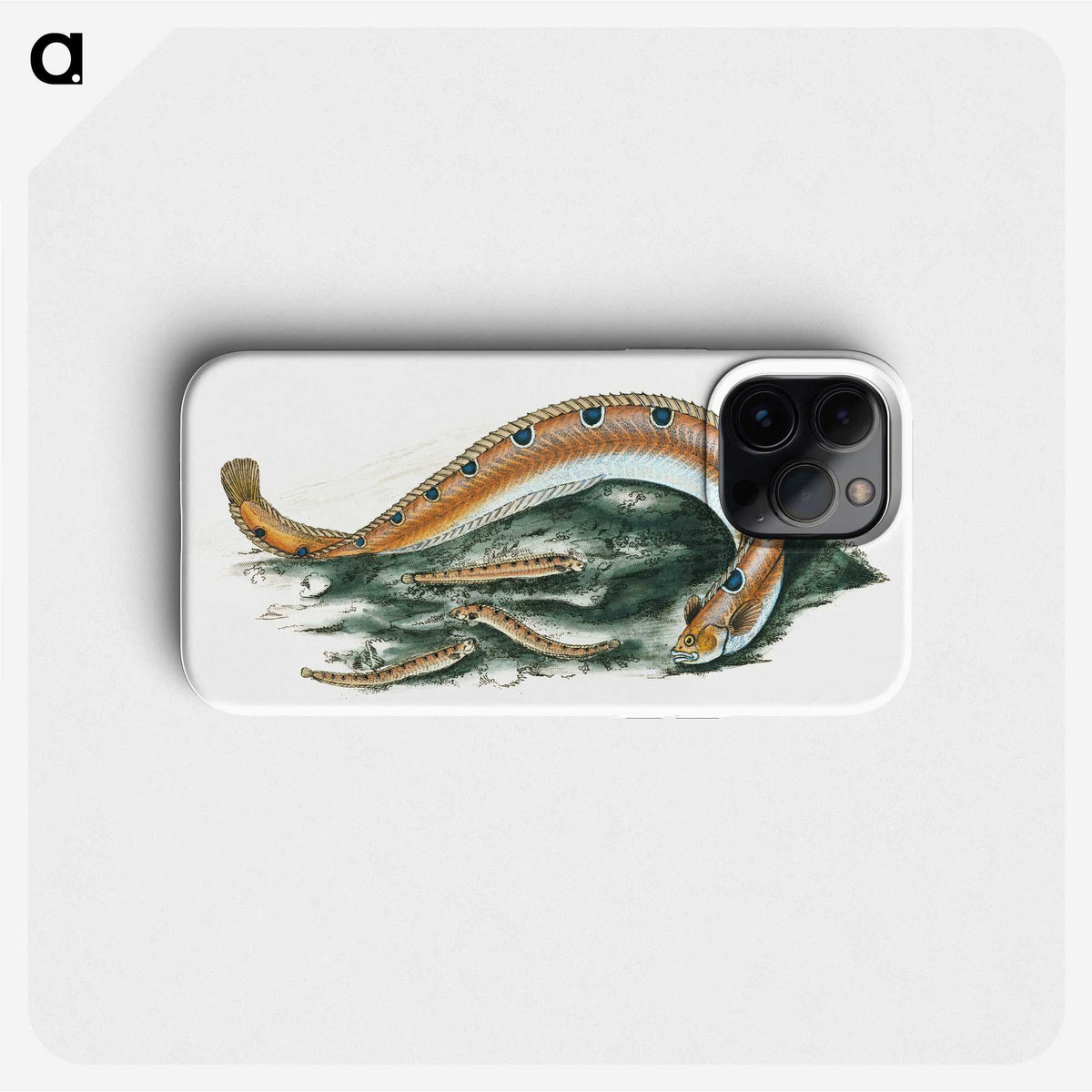 1-40_The-Natural-History-of-British-Fishes_phone