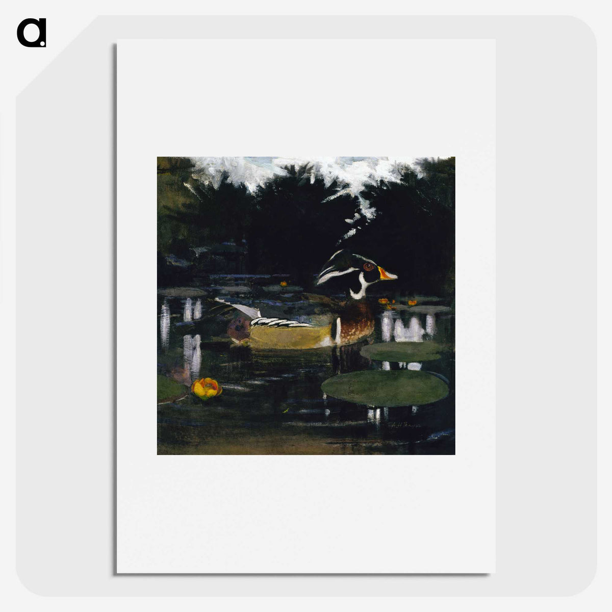1-41_Abbott-Handerson-Thayer_picture
